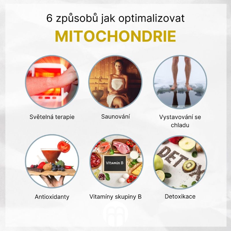 Návrh bez názvu (82)